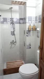 a bathroom with a toilet and a shower at Almablanca in San Antonio de Areco