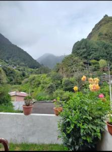vue d'une montagne avec des fleurs en pots dans l'établissement Casa del cielo, à Juivi