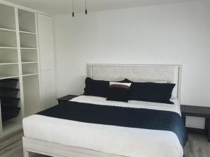 a bedroom with a large bed with black pillows at Tropical Bliss in George Town