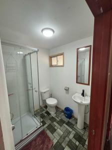 ein Badezimmer mit Dusche, Toilette und Waschbecken in der Unterkunft cabañas fariña in Llanquihue