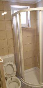 a bathroom with a toilet and a shower at Daily rental apartment Travnik in Travnik