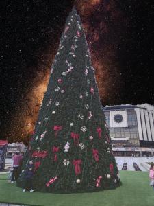 Fotografie z fotogalerie ubytování Apartament 86 v Sofii