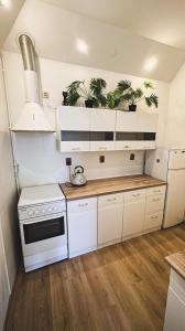 Nhà bếp/bếp nhỏ tại Starogard Gdanski city center apartment