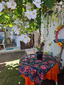 Una mesa con un mantel con una planta encima. en Flat Lagoa Azul, en Maragogi