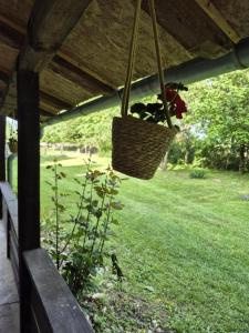 a basket of plants is hanging from a porch at Birsalmafa Vendégház in Bajánsenye
