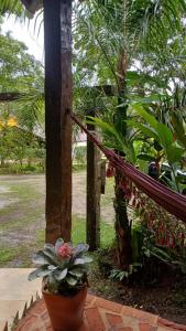 Κήπος έξω από το Casa de campo charmosa perto da praia