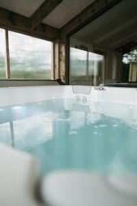 bañera con agua en una habitación con ventanas en Shiva - Bohemian Homes, en Studánka