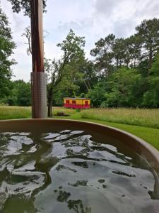 eine Badewanne mit Wasser auf dem Feld in der Unterkunft Roulotte Belle des Prés in Sigalens
