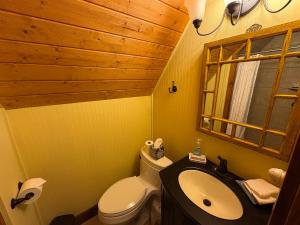 a bathroom with a toilet and a sink and a window at Red Top Tree House in Highlands +26 photos