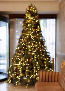 a christmas tree with lights in a living room at Eurohotel in Lviv