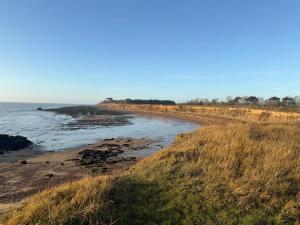 - une plage avec de hautes herbes et l'océan dans l'établissement Cottage on remote wild coast, à Bawdsey