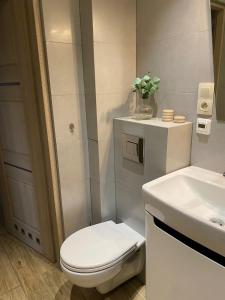 a white bathroom with a toilet and a sink at Apartament przy Norweskim in Jelenia Góra
