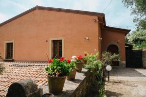 a house with potted plants in front of it at Agriturismo Marzilio in Ficarra
