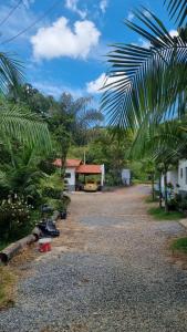 ein Hof mit Palmen und ein Gebäude mit einem Haus in der Unterkunft Pousada Luna in Socorro