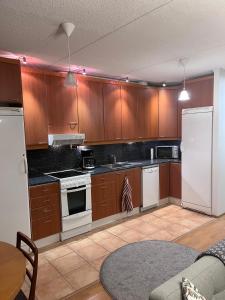 Kuchyň nebo kuchyňský kout v ubytování Pieksämäellä saunallinen kaksio rivitalossa