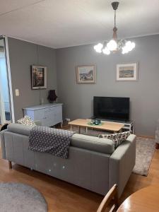 TV a/nebo společenská místnost v ubytování Pieksämäellä saunallinen kaksio rivitalossa