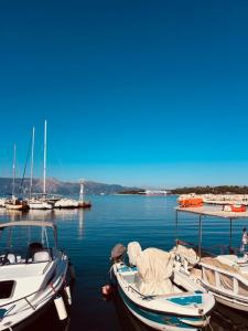 two boats are docked at a dock in the water at L'Atelier TOP LOCATION in Corfu