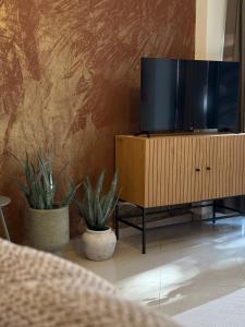 TV a/nebo společenská místnost v ubytování Terra Loft 1 + 1 fotografie