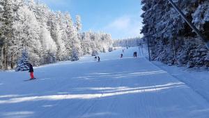 eine Gruppe von Menschen fährt einen schneebedeckten Hang hinunter in der Unterkunft Penzion pod Čeřinkem in Mirošov