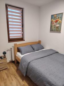 a bedroom with a bed and a window at Stela Divcinova in Divčibare