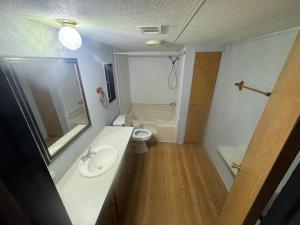 een badkamer met een wastafel, een toilet en een spiegel bij Beautiful two bedroom house in Lake Wales +4 foto's