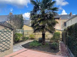 a palm tree in front of a fence at Comfort with garden in Fécamp