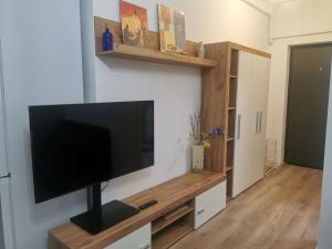 TV a/nebo společenská místnost v ubytování Residence WIN