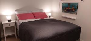 een slaapkamer met een bed met 2 rode kussens bij Great apartment with extreme views in Tromsø