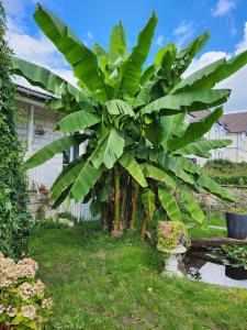 Zahrada ubytování Les Pingouins de la Marne 2