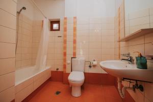 Koupelna v ubytování Arachova Dream