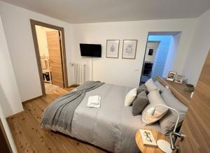 Μια τηλεόραση ή/και κέντρο ψυχαγωγίας στο Cervinia House - Alpine Apartments & Chalet