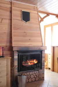 un camino in un soggiorno con una parete in legno di Chalet des ORCHIDÉES en Chartreuse a Entremont-le-Vieux