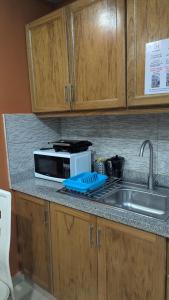 un comptoir de cuisine avec un micro-ondes et un évier dans l'établissement Mitaly apartamentos RD H, à Saint-Domingue 51 autres photos
