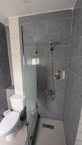 une salle de bain avec toilettes et douche en verre dans l'établissement Mitaly apartamentos RD H, à Saint-Domingue