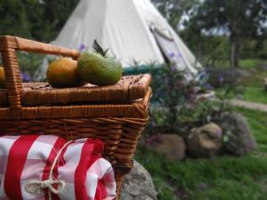 Zahrada ubytování Glamping El Establo
