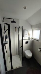 奥斯特罗德Ferienwohnung Auszeit Osterode的带淋浴和卫生间的浴室以及窗户。