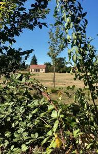 un champ avec une maison en arrière-plan et un arbre dans l'établissement Maison bois proche de l' A6, à Brianny