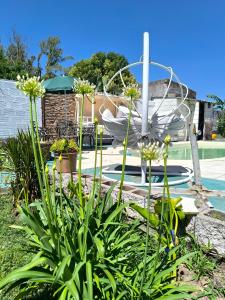 Bassein majutusasutuses Piscis või selle lähedal