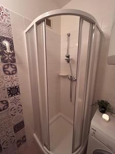 RokytnoにあるApartmán pod sjezdovkou Lysá Hora Horní náměstí Ski Lumiの浴室のガラス扉付きシャワー