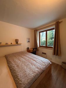 a bedroom with a large bed and a window at Apartmán pod sjezdovkou Lysá Hora Horní náměstí Ski Lumi in Rokytno +20 photos