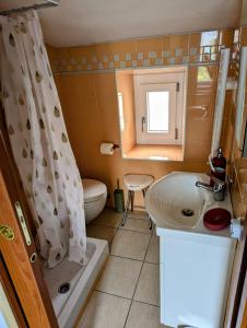 a bathroom with a sink and a toilet and a shower at L'angolino di Ale in Sulmona +19 photos