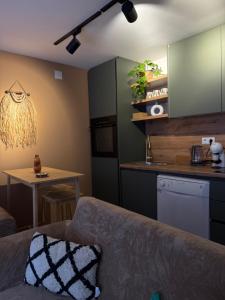 Kuchyň nebo kuchyňský kout v ubytování Andrra Apartment + 13 fotografií