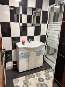 ein Badezimmer mit Waschbecken und Dusche in der Unterkunft Apartamente B&K in Râșnov + 26 Fotos