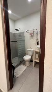 une salle de bain avec toilettes et douche en verre dans l'établissement Loft guelaguetza A, à Santa Cruz Huatulco 16 autres photos