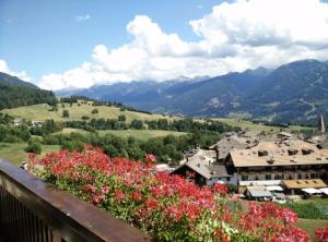 a view of a town with flowers on a balcony at Casa Gabry by Sunhome Fiemme in Varena