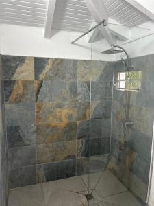 Koupelna v ubytování Villa Cosy Lamentin