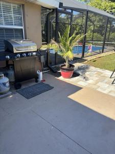 Κήπος έξω από το Guesthouse near Fort Myers Beach, Sanibel and Captiva islands