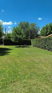 ein grasbewachsener Hof mit einer Steinmauer und Bäumen in der Unterkunft La Casa de Elisa in Santa Rosa de Calamuchita