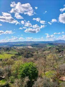 Φυσικό τοπίο κοντά σε αυτό το διαμέρισμα