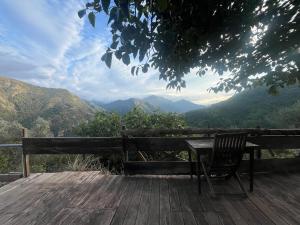 Příroda nedaleko prázdninového domu + 6 fotografií